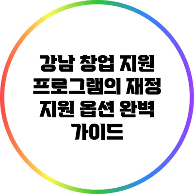 강남 창업 지원 프로그램의 재정 지원 옵션 완벽 가이드