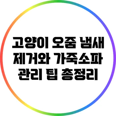 고양이 오줌 냄새 제거와 가죽소파 관리 팁 총정리