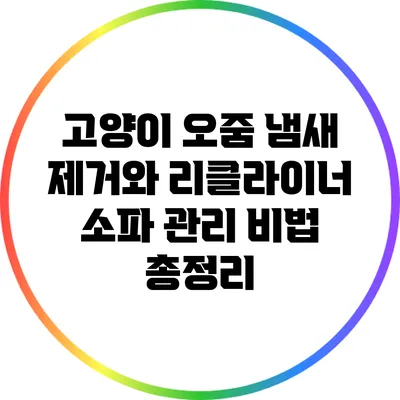 고양이 오줌 냄새 제거와 리클라이너 소파 관리 비법 총정리