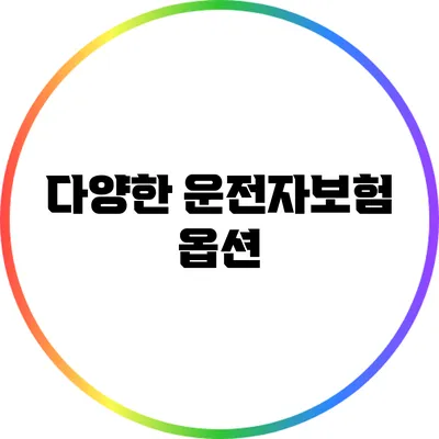 다양한 운전자보험 옵션