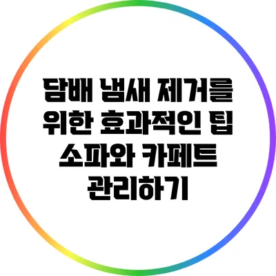 담배 냄새 제거를 위한 효과적인 팁: 소파와 카페트 관리하기