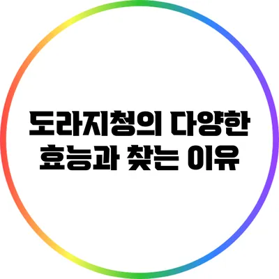 도라지청의 다양한 효능과 찾는 이유