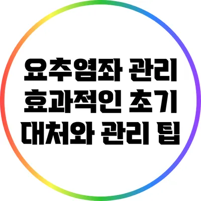 요추염좌 관리: 효과적인 초기 대처와 관리 팁