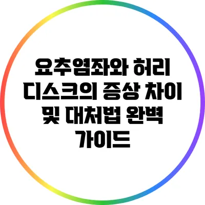 요추염좌와 허리 디스크의 증상 차이 및 대처법 완벽 가이드