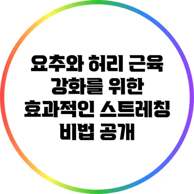 요추와 허리 근육 강화를 위한 효과적인 스트레칭 비법 공개