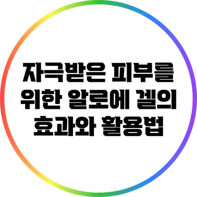 자극받은 피부를 위한 알로에 겔의 효과와 활용법