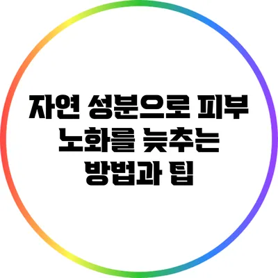자연 성분으로 피부 노화를 늦추는 방법과 팁