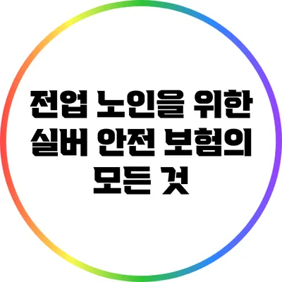 전업 노인을 위한 실버 안전 보험의 모든 것
