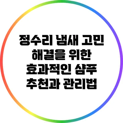 정수리 냄새 고민 해결을 위한 효과적인 샴푸 추천과 관리법