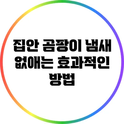 집안 곰팡이 냄새 없애는 효과적인 방법