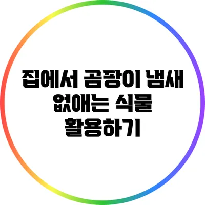 집에서 곰팡이 냄새 없애는 식물 활용하기