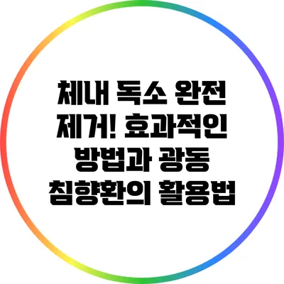 체내 독소 완전 제거! 효과적인 방법과 광동 침향환의 활용법