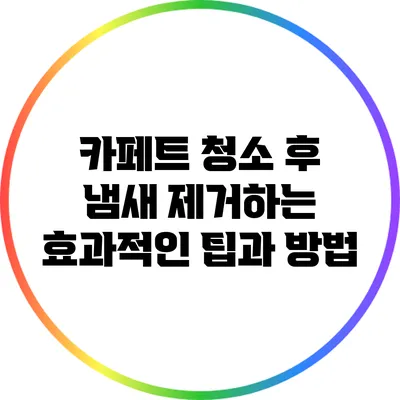 카페트 청소 후 냄새 제거하는 효과적인 팁과 방법