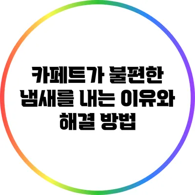 카페트가 불편한 냄새를 내는 이유와 해결 방법