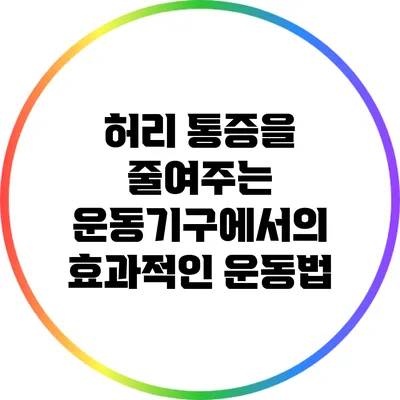 허리 통증을 줄여주는 운동기구에서의 효과적인 운동법