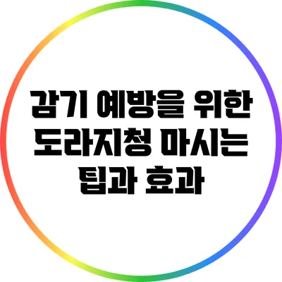 감기 예방을 위한 도라지청 마시는 팁과 효과