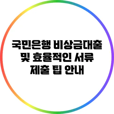 국민은행 비상금대출 및 효율적인 서류 제출 팁 안내