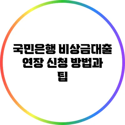 국민은행 비상금대출 연장 신청 방법과 팁
