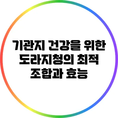 기관지 건강을 위한 도라지청의 최적 조합과 효능