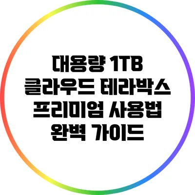 대용량 1TB 클라우드 테라박스 프리미엄 사용법 완벽 가이드
