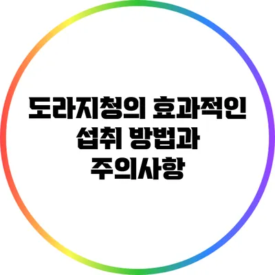 도라지청의 효과적인 섭취 방법과 주의사항