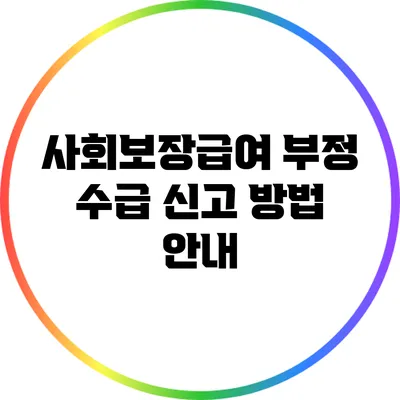사회보장급여 부정 수급 신고 방법 안내