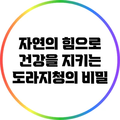 자연의 힘으로 건강을 지키는 도라지청의 비밀