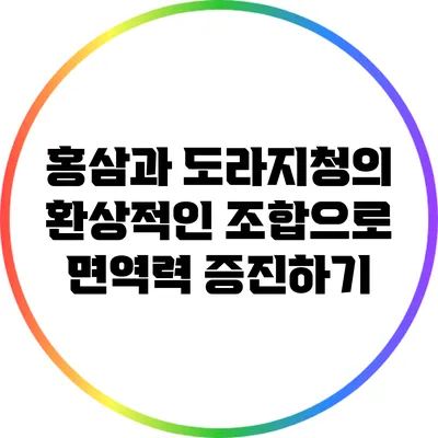 홍삼과 도라지청의 환상적인 조합으로 면역력 증진하기