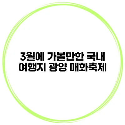 3월에 가볼만한 국내 여행지 광양 매화축제