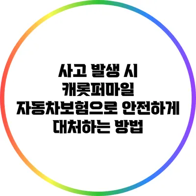 사고 발생 시 캐롯퍼마일 자동차보험으로 안전하게 대처하는 방법