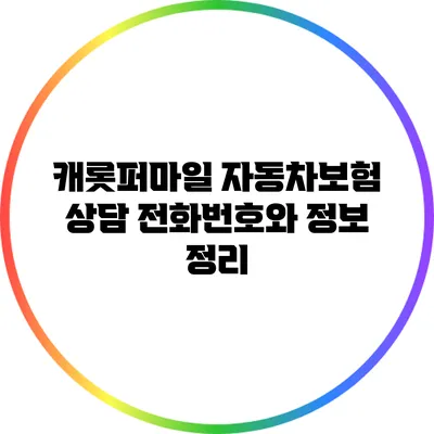 캐롯퍼마일 자동차보험 상담 전화번호와 정보 정리